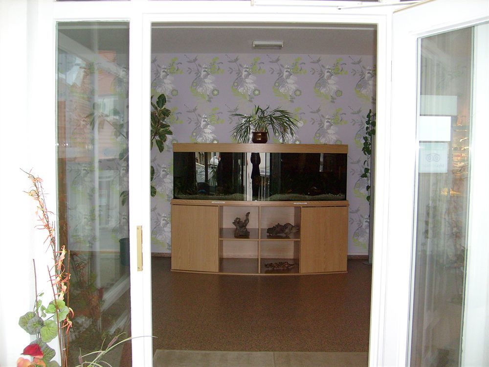 Villa Auszeit Hotel Garni Heringsdorf Dış mekan fotoğraf